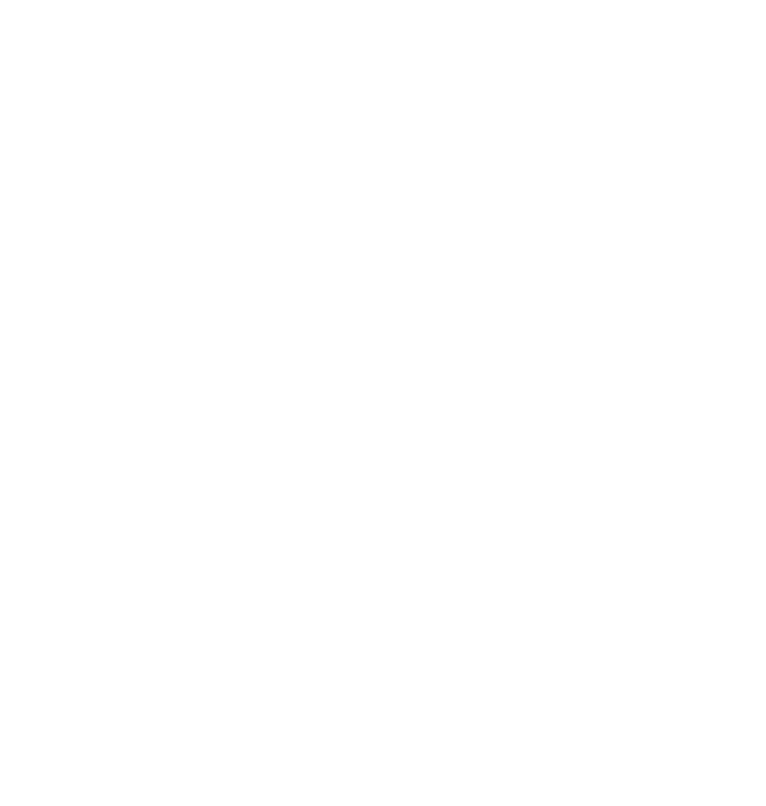 DEMAIORDENT CONSERVATIVA ENDODONZIA