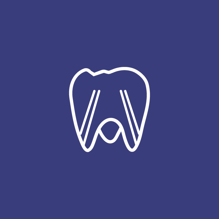 DEMAIORDENT CONSERVATIVA ENDODONZIA